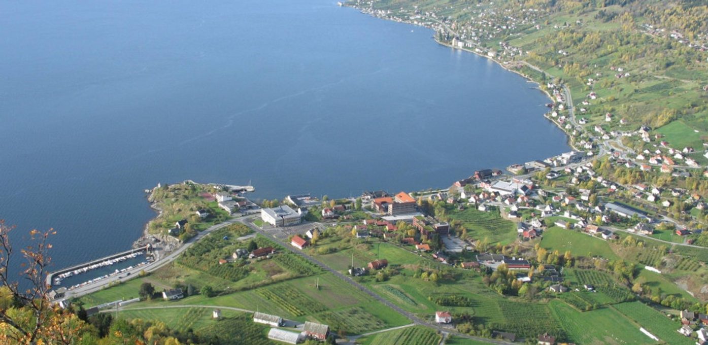 Njøs frukt- og bærsenter Hovedbilde