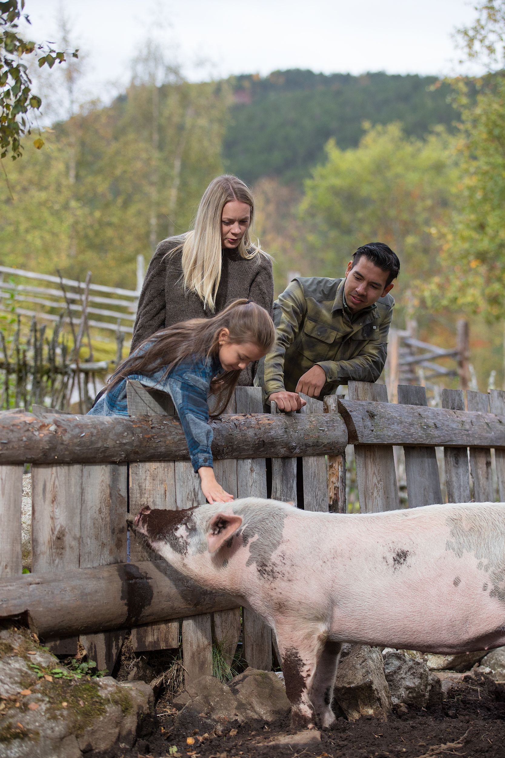 Vil du jobbe med kulturlandskap og landbruk med historiske driftsmetodar? Bilde