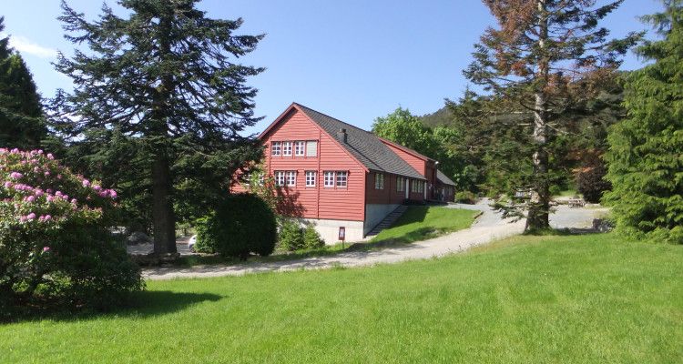 Sogn og Fjordane Skogselskap Hovedbilde