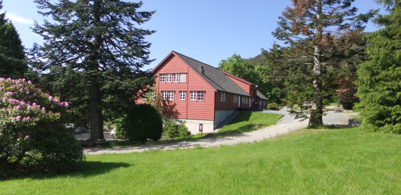 Sogn og Fjordane Skogselskap Hovedbilde