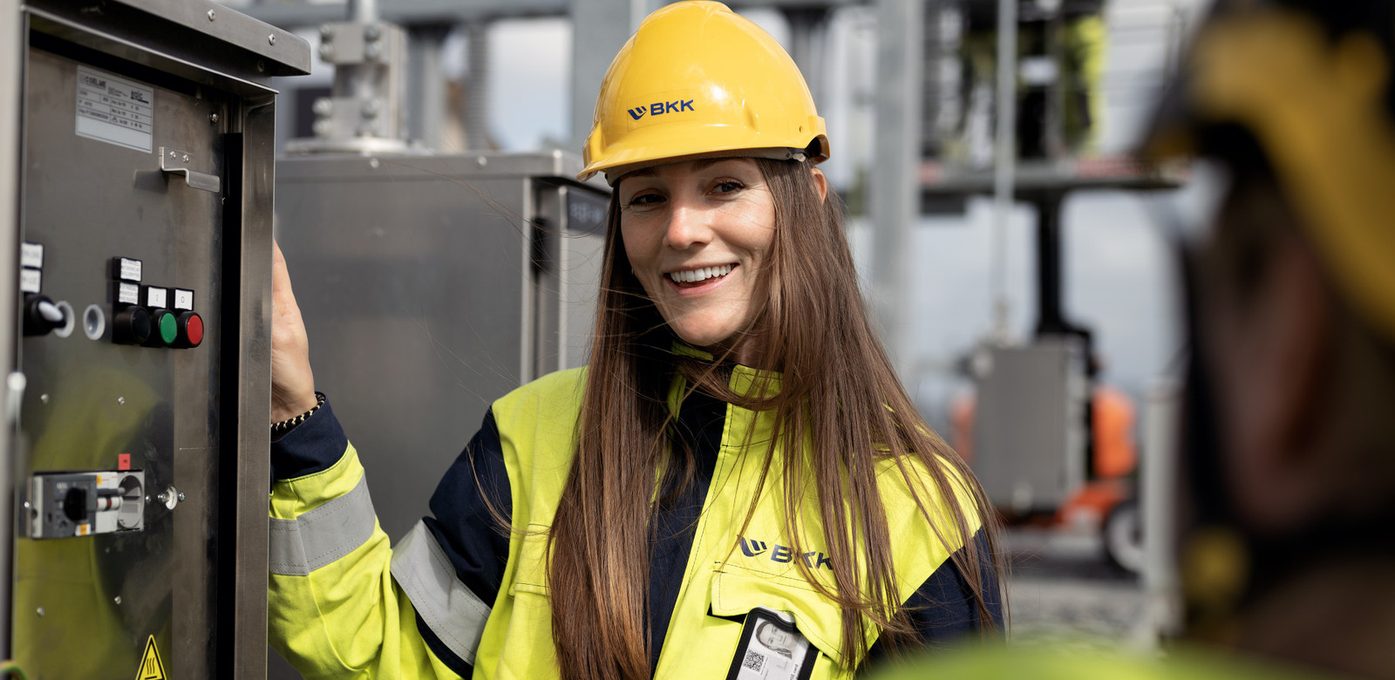 Rådgiver vern- og kontrollanlegg Bilde