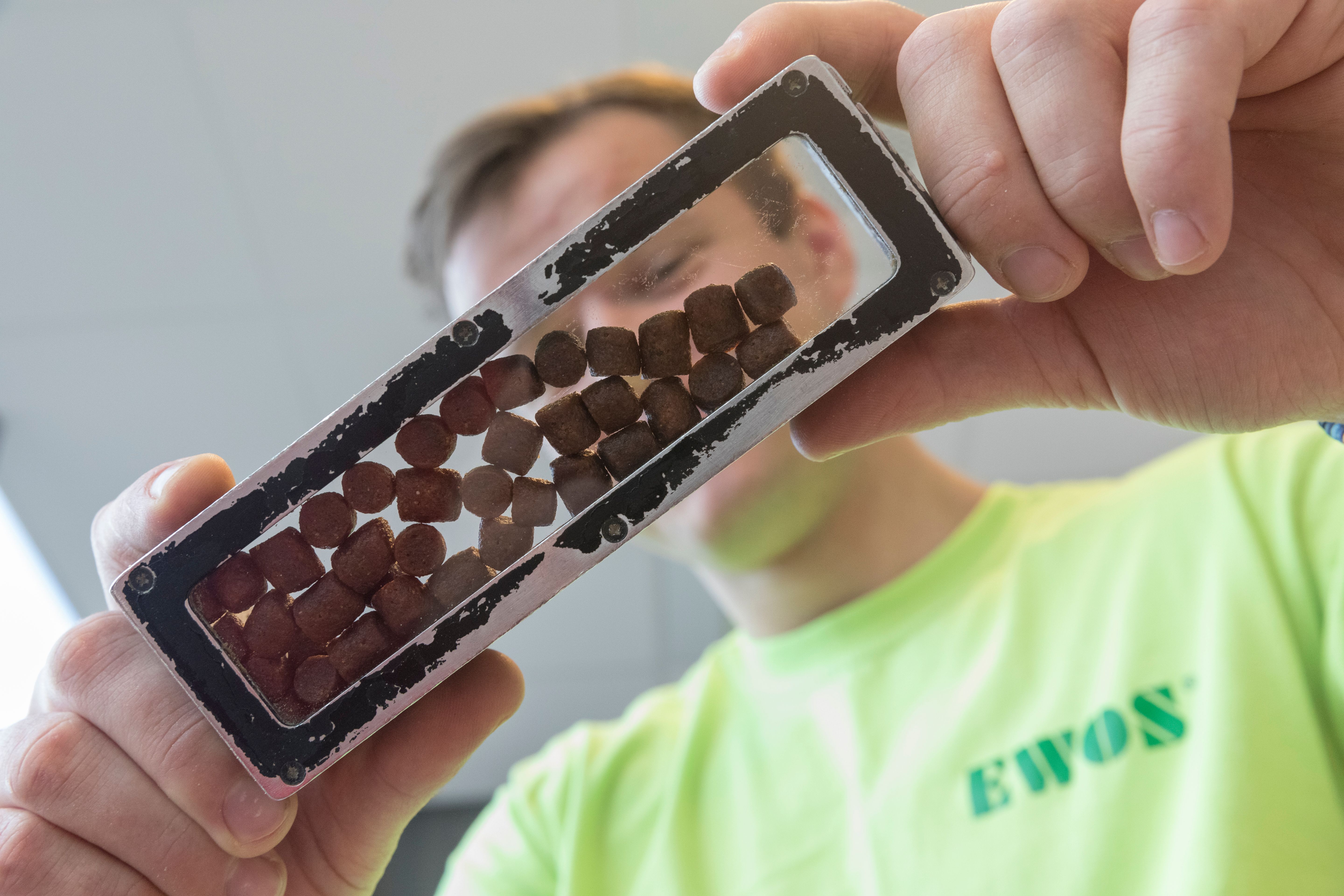 Trainee: Automasjon, elektro, prosess eller reseptformulering Bilde