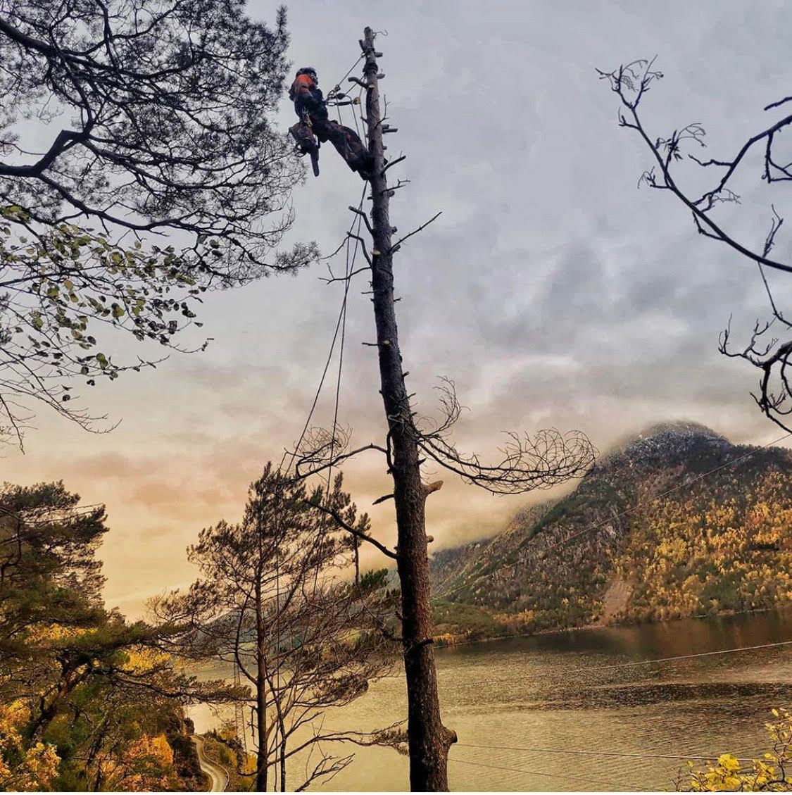 Anders Flæte er populær på Instagram 