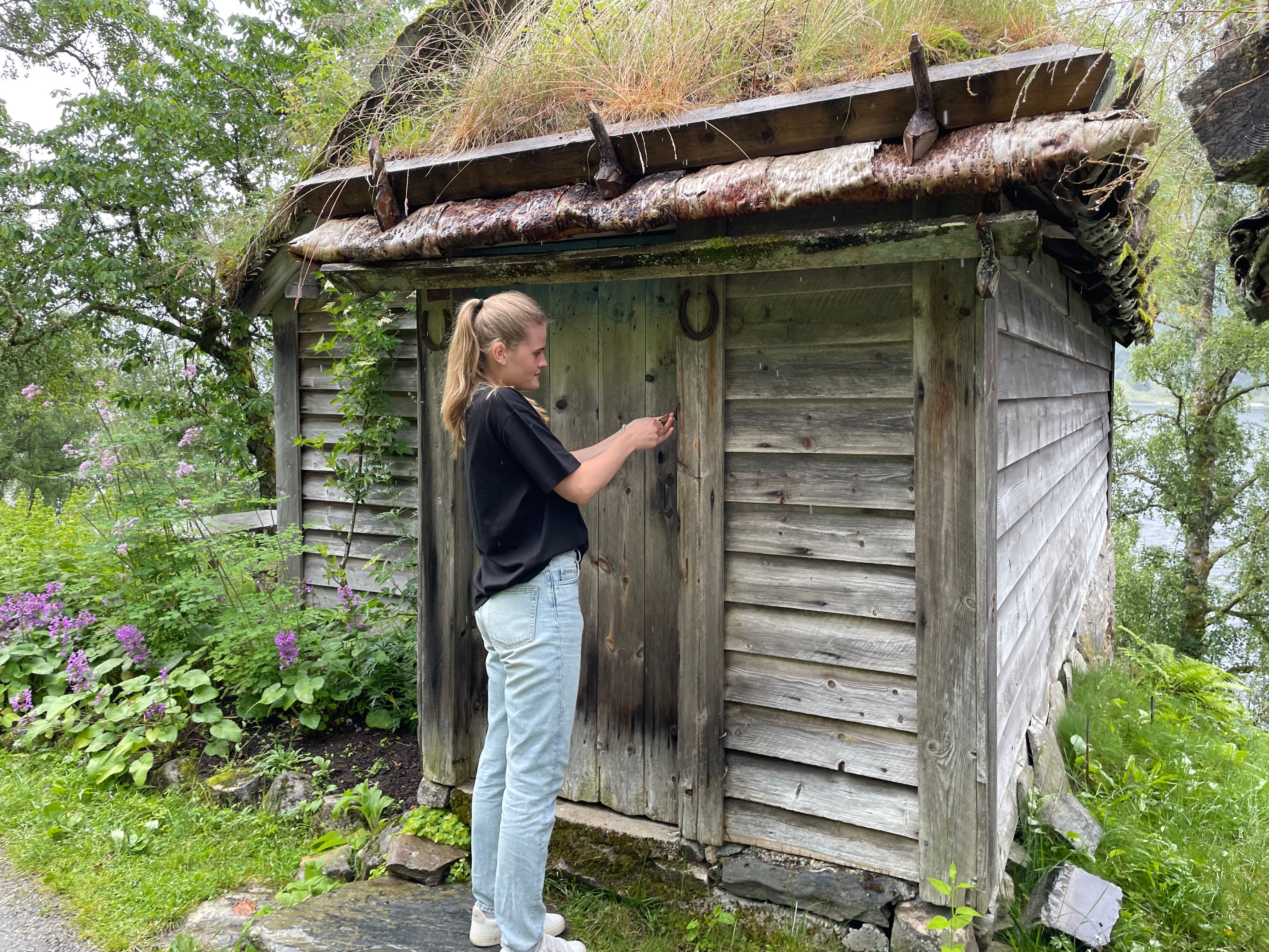 Bygningar Astruptunet