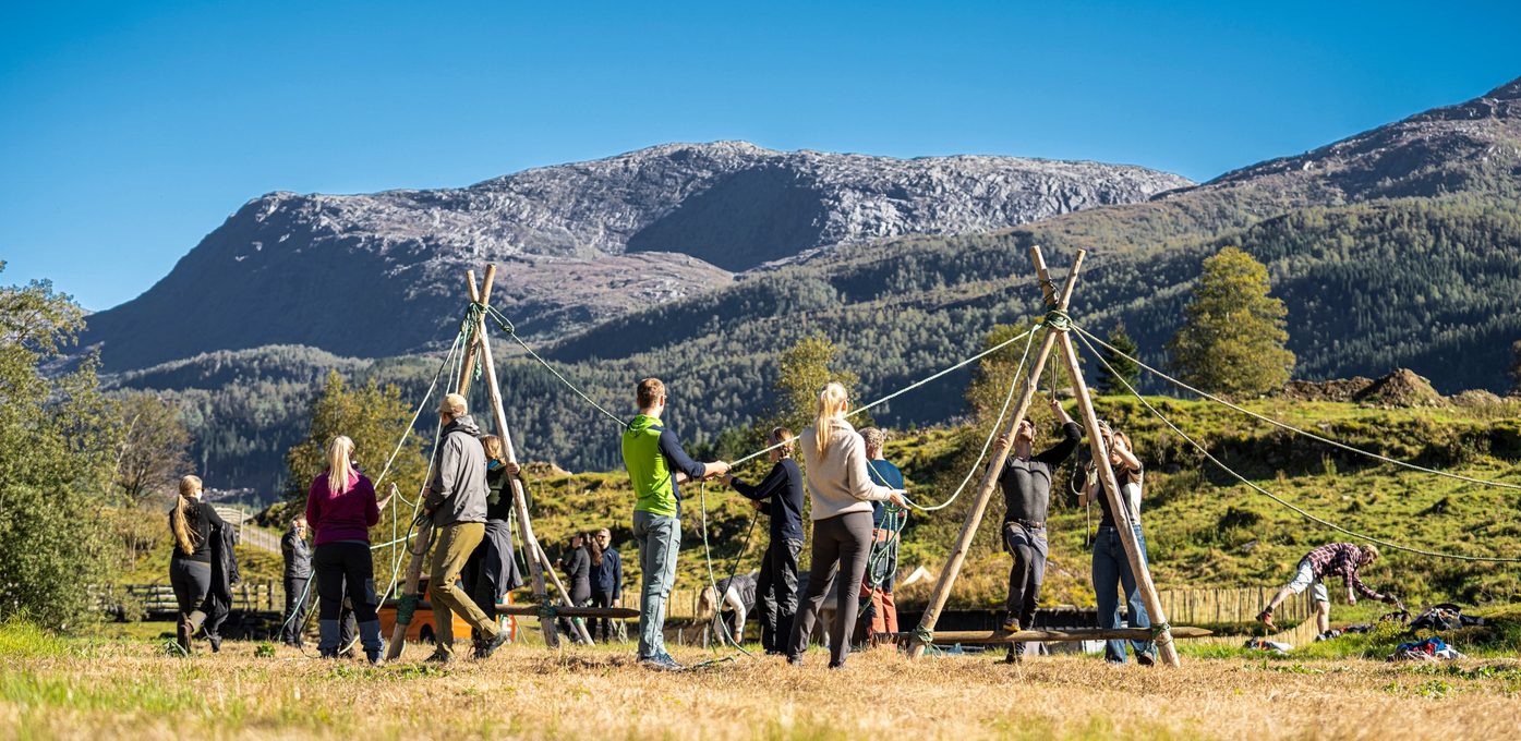 traineesamling viksdalen