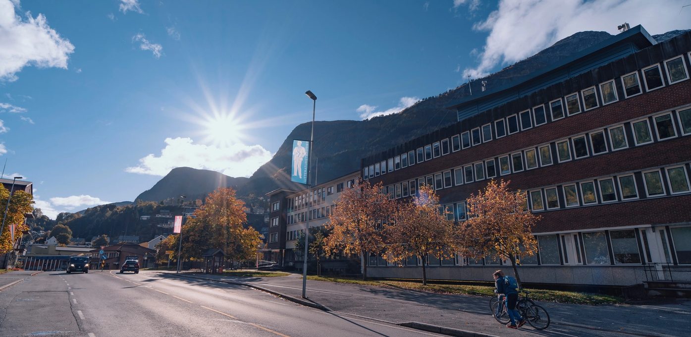 Trainee: Økonomi Bilde