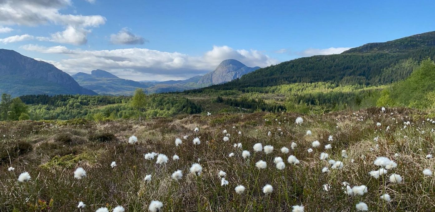 Helsesekretær på legekontoret 100 % vikariat Bilde