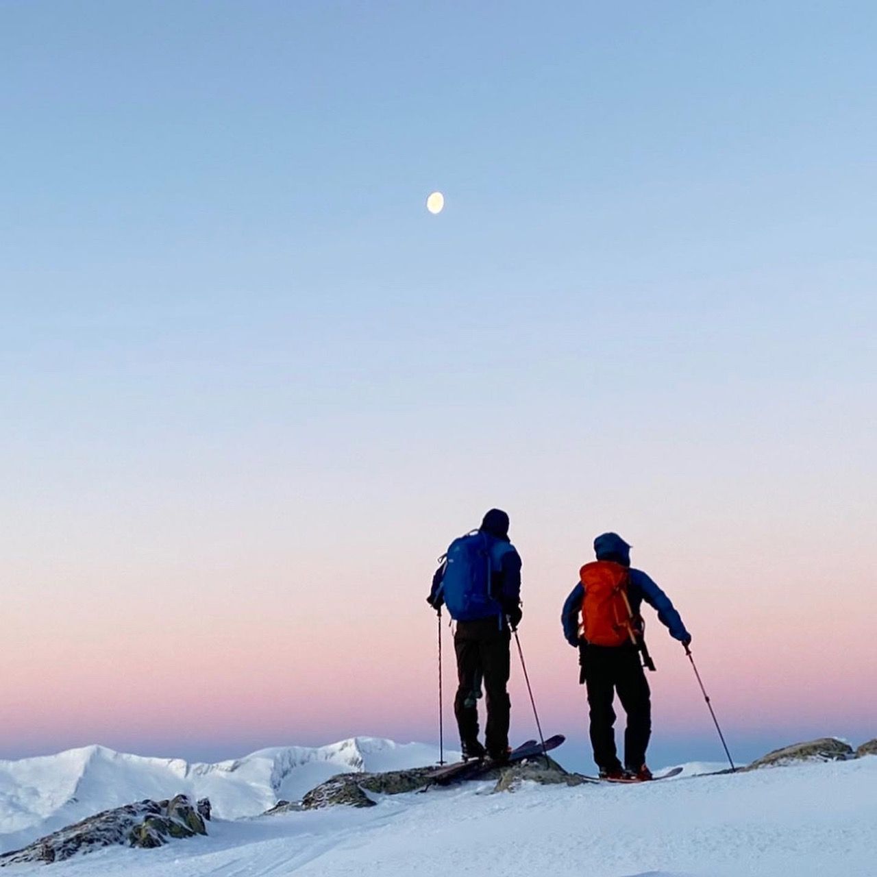 Forskar innan klimaomstilling Bilde