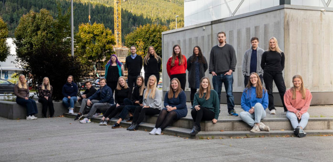 Framtidsfylket trainee