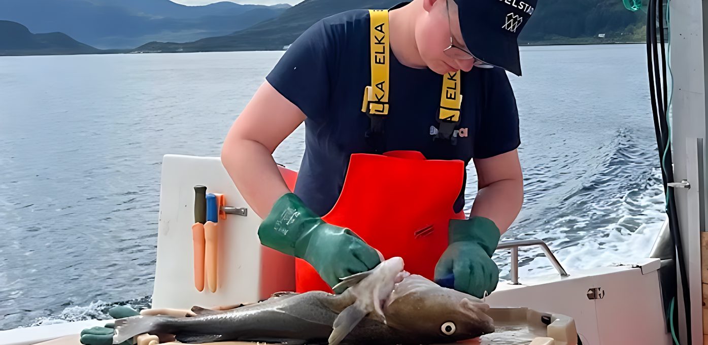 Sommarjobb ungdomsfiske