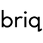Briq нейросеть Лого
