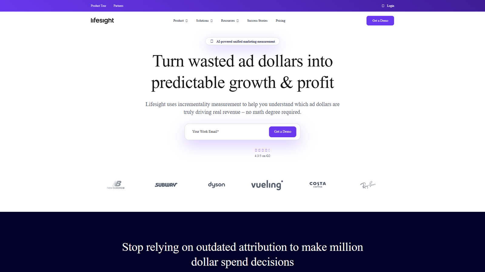 Lifesight — интерфейс нейросети Lifesight — интерфейс нейросети