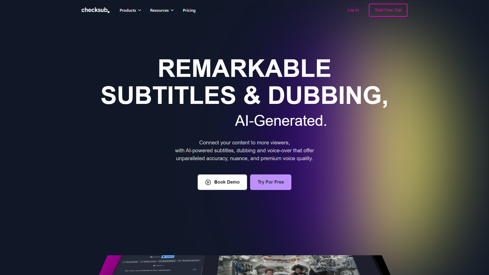 Checksub — интерфейс нейросети Checksub — интерфейс нейросети