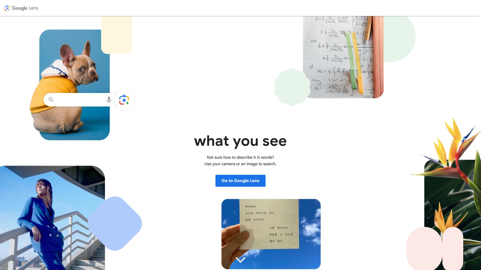 Socratic by Google нейросеть Главная страница