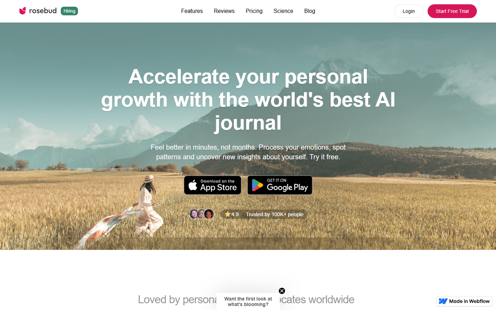 Rosebud — интерфейс нейросети Rosebud — интерфейс нейросети