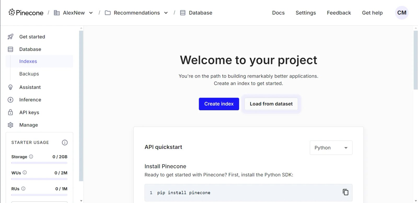 Pinecone Project Pinecone Project