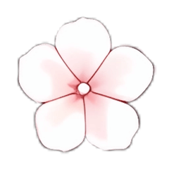 Sakura AI Logo