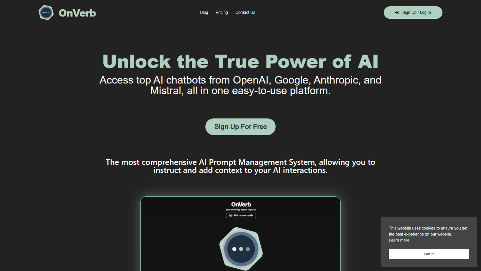 OnVerb — интерфейс нейросети OnVerb — интерфейс нейросети