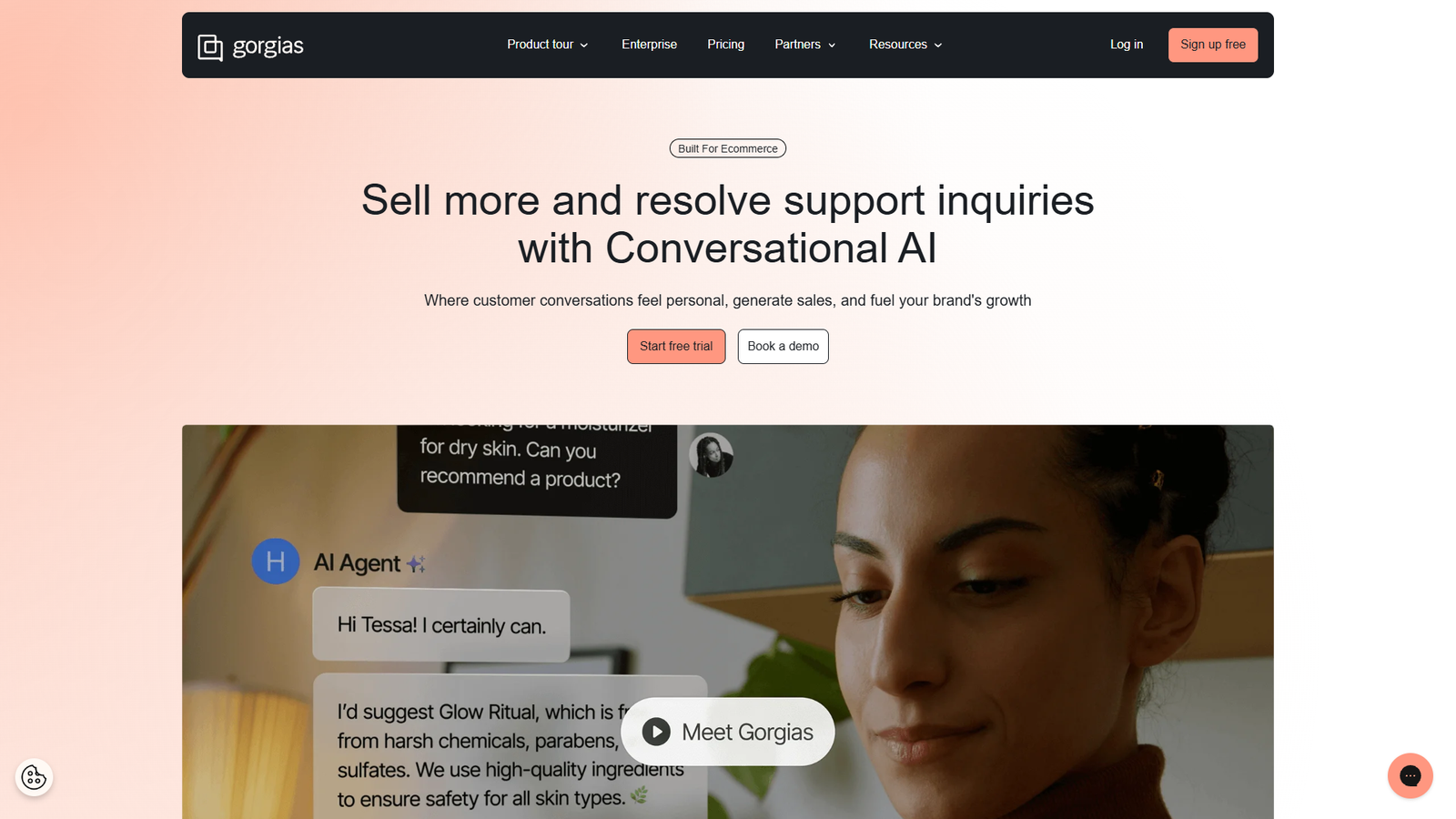 Gorgias — интерфейс нейросети Gorgias — интерфейс нейросети