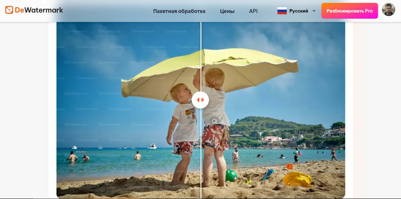 DeWatermark Пример DeWatermark Пример