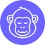 CopyMonkey logo