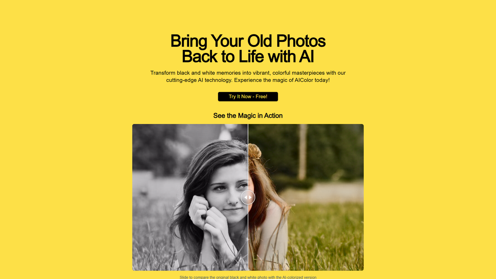 AIColor — интерфейс нейросети AIColor — интерфейс нейросети