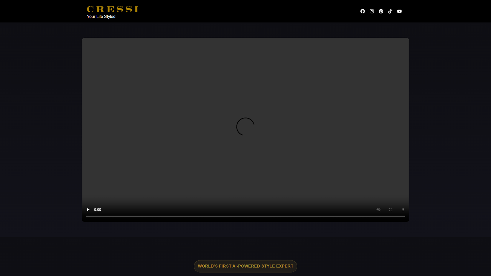 Cressi — интерфейс нейросети Cressi — интерфейс нейросети