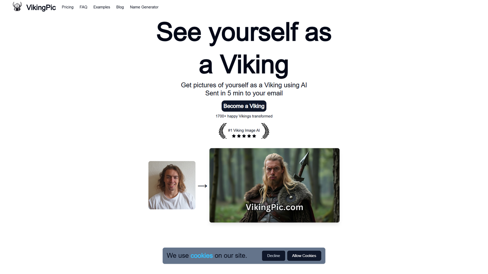 VikingPic — интерфейс нейросети VikingPic — интерфейс нейросети