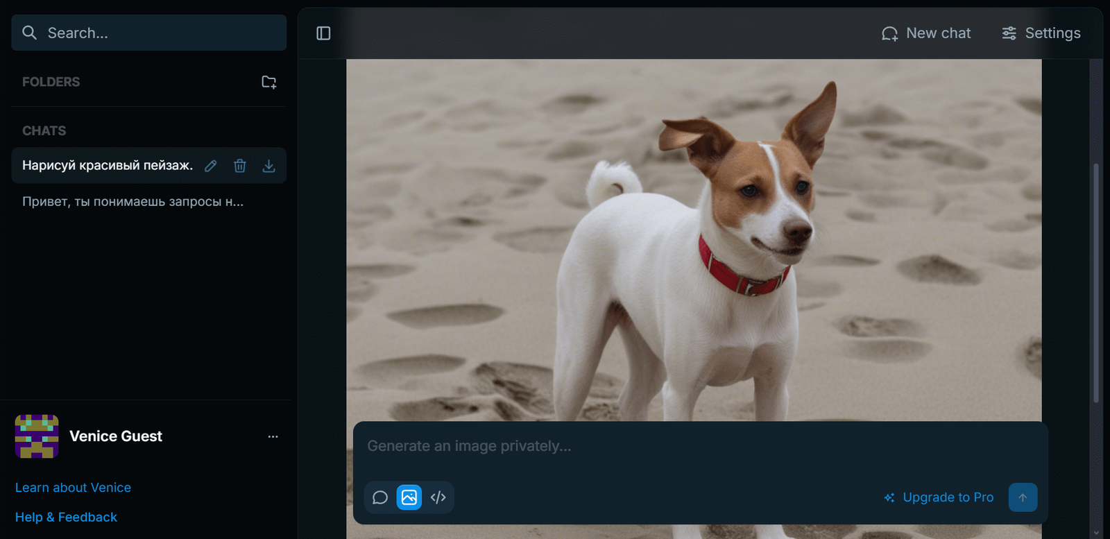 Venice AI Chat Venice AI Chat