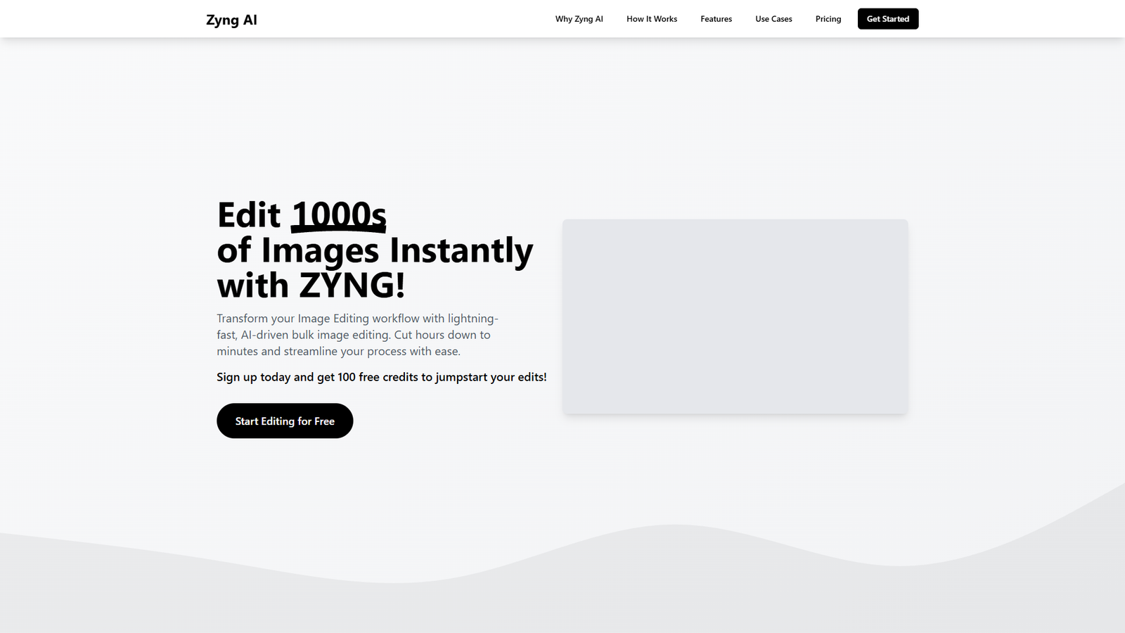 Zyng AI — интерфейс нейросети Zyng AI — интерфейс нейросети