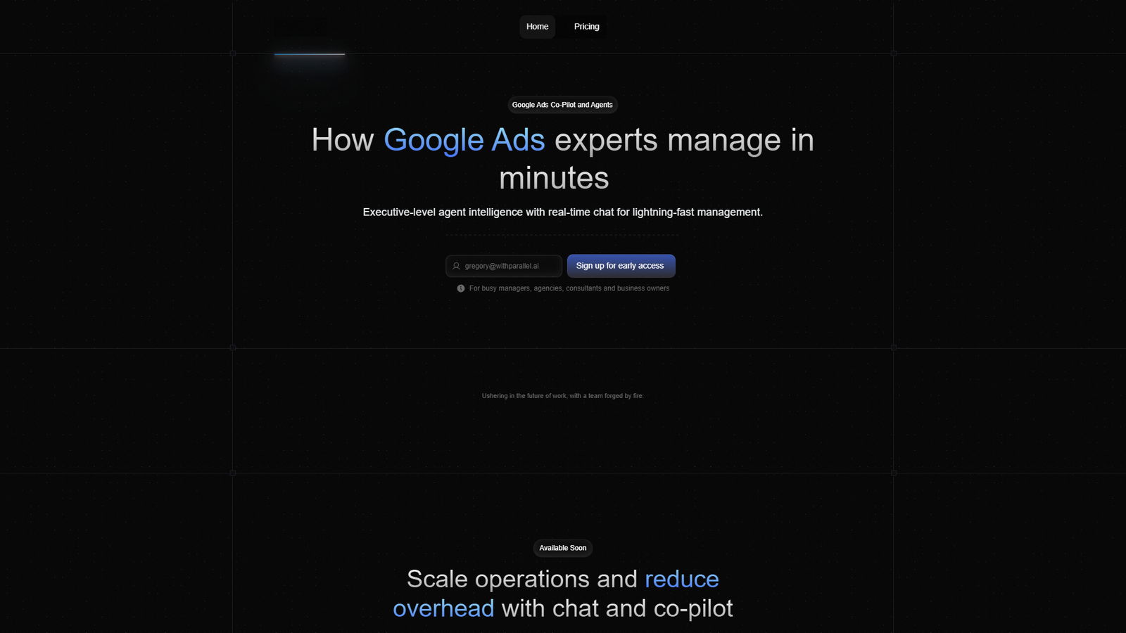 Parallel AI Google Ads Co-Pilot — интерфейс нейросети Parallel AI Google Ads Co-Pilot — интерфейс нейросети