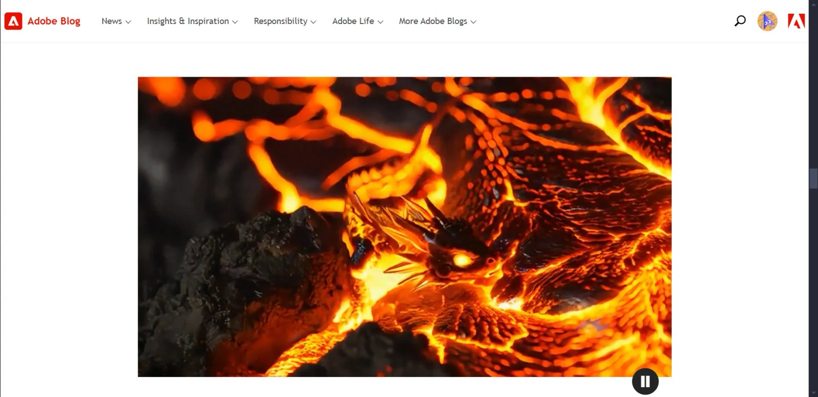 Adobe Firefly Video Example