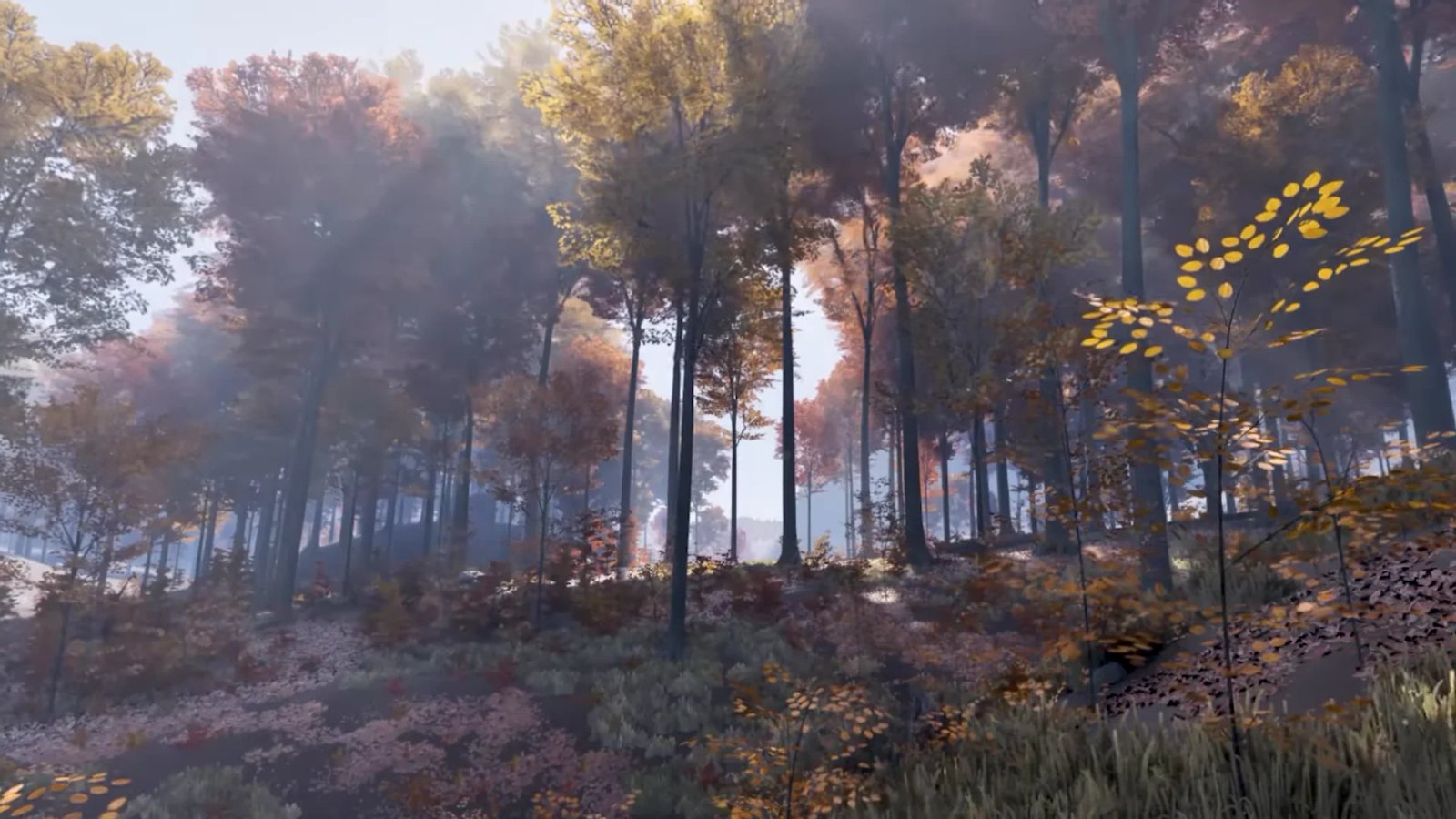 Prologue: Go Wayback! landscape