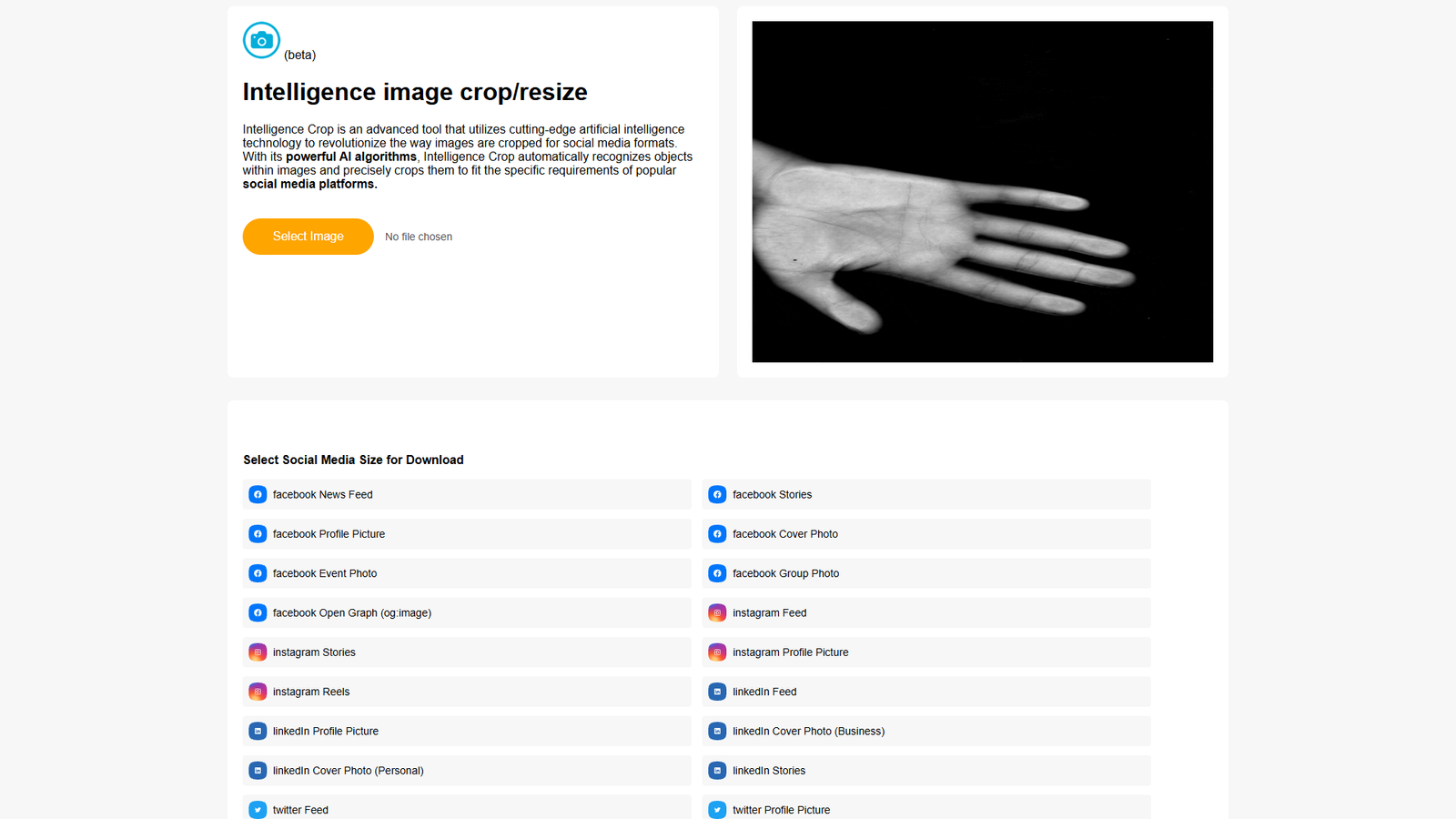 Intelligence Image Crop Resize — интерфейс нейросети Intelligence Image Crop Resize — интерфейс нейросети