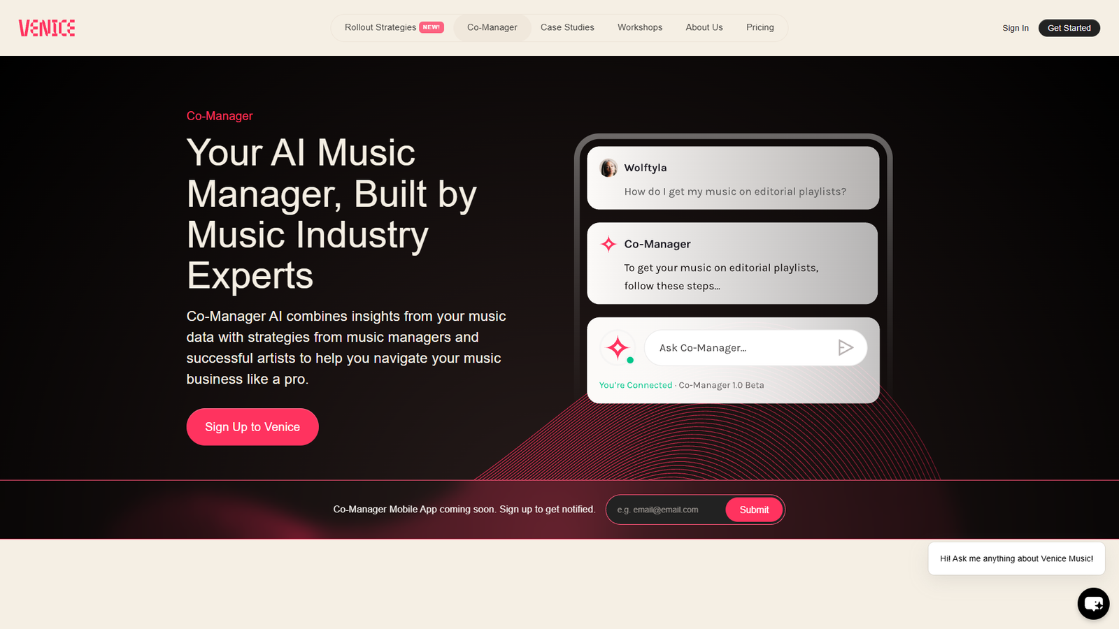 Venice Co-Manager — интерфейс нейросети Venice Co-Manager — интерфейс нейросети