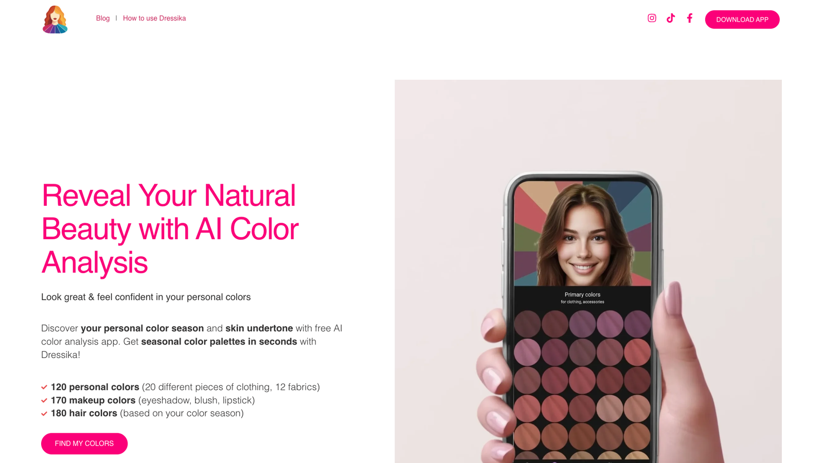 Dressika Color Analysis — интерфейс нейросети