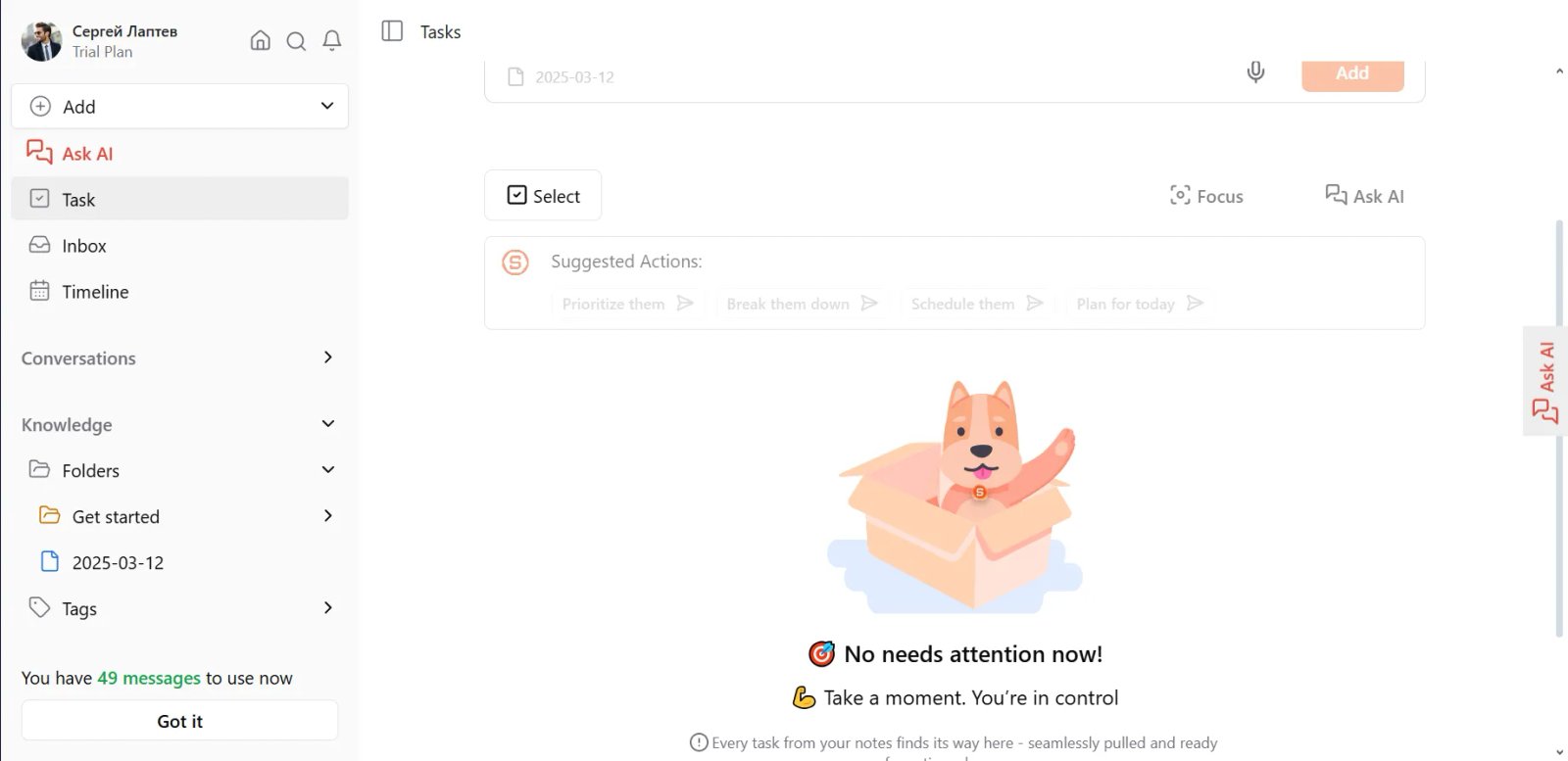 Saner AI Tasks