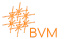 BVM нейросеть Лого