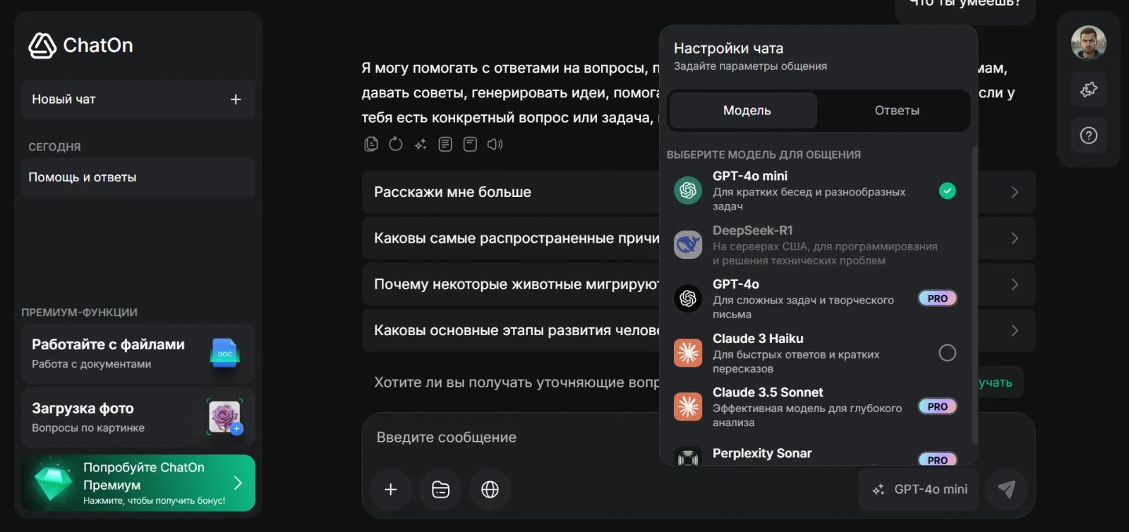 ChatOn AI Настройки