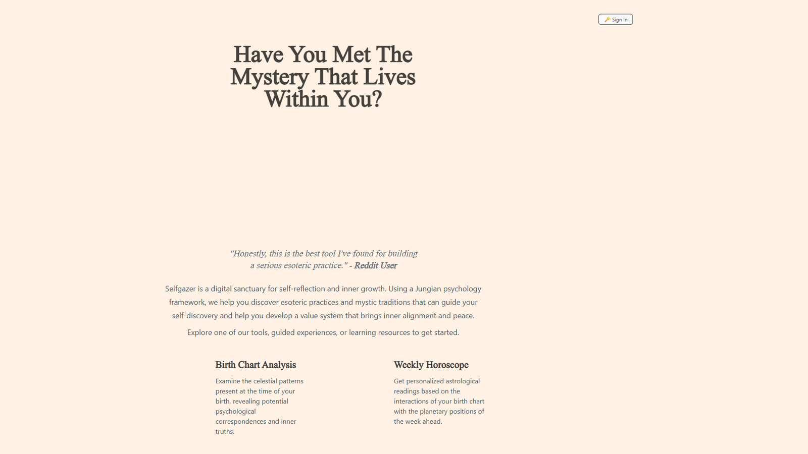 Selfgazer — интерфейс нейросети Selfgazer — интерфейс нейросети