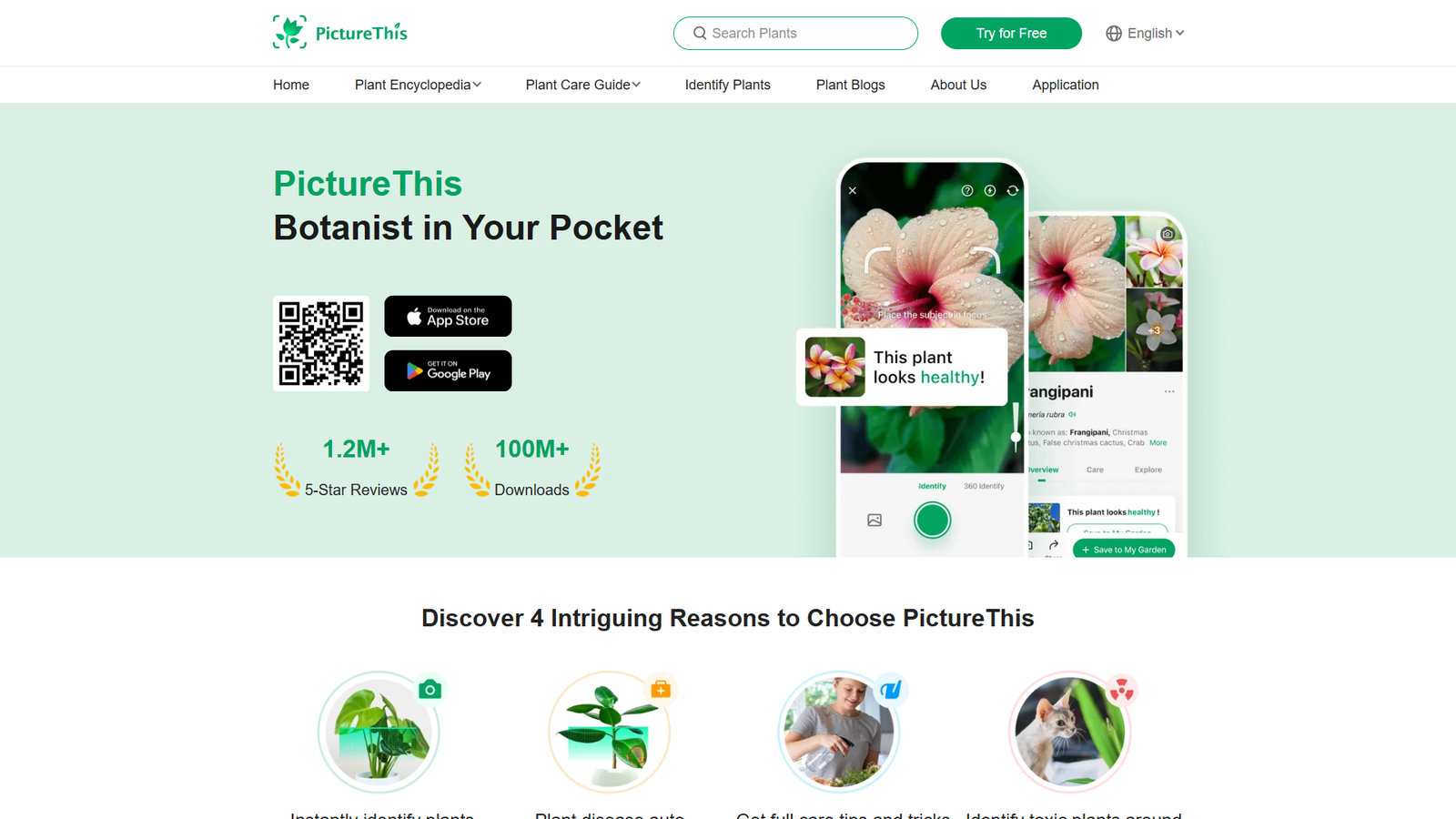 PictureThis — интерфейс нейросети PictureThis — интерфейс нейросети