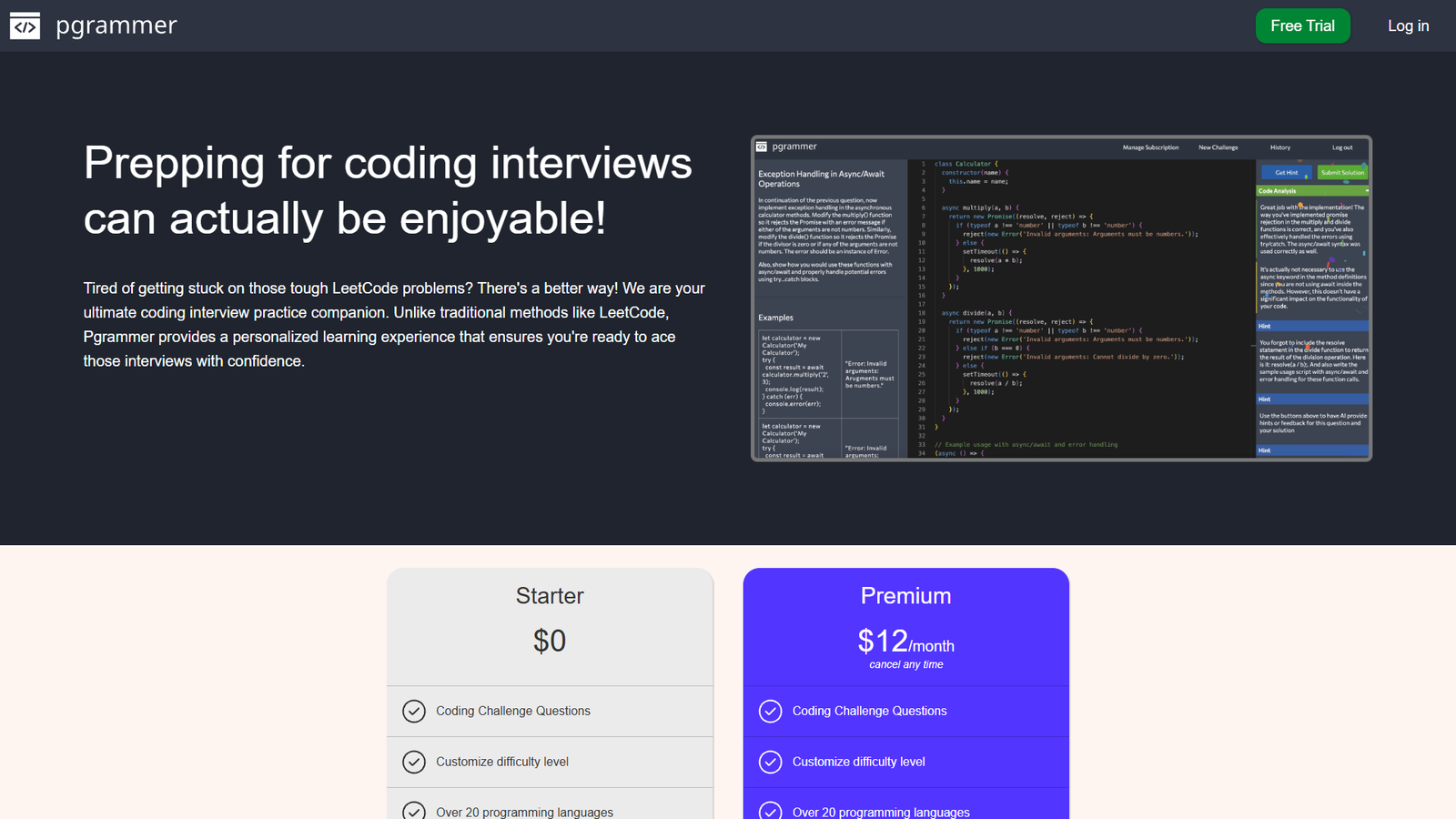 Pgrammer — интерфейс нейросети Pgrammer — интерфейс нейросети