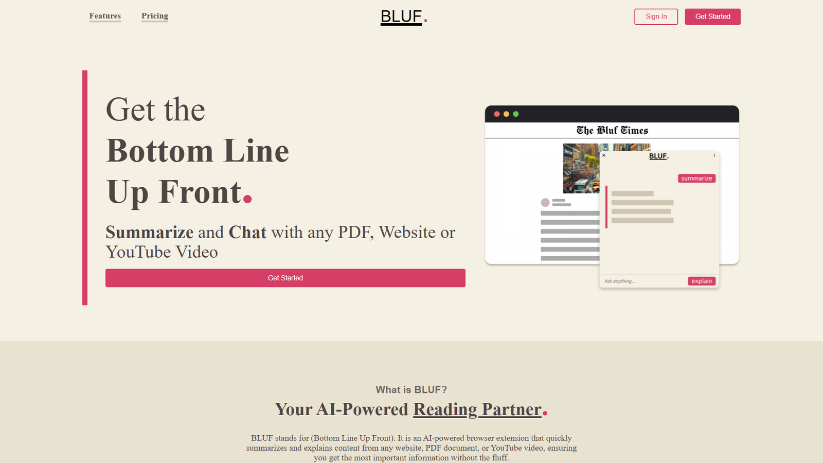 BLUF — интерфейс нейросети BLUF — интерфейс нейросети