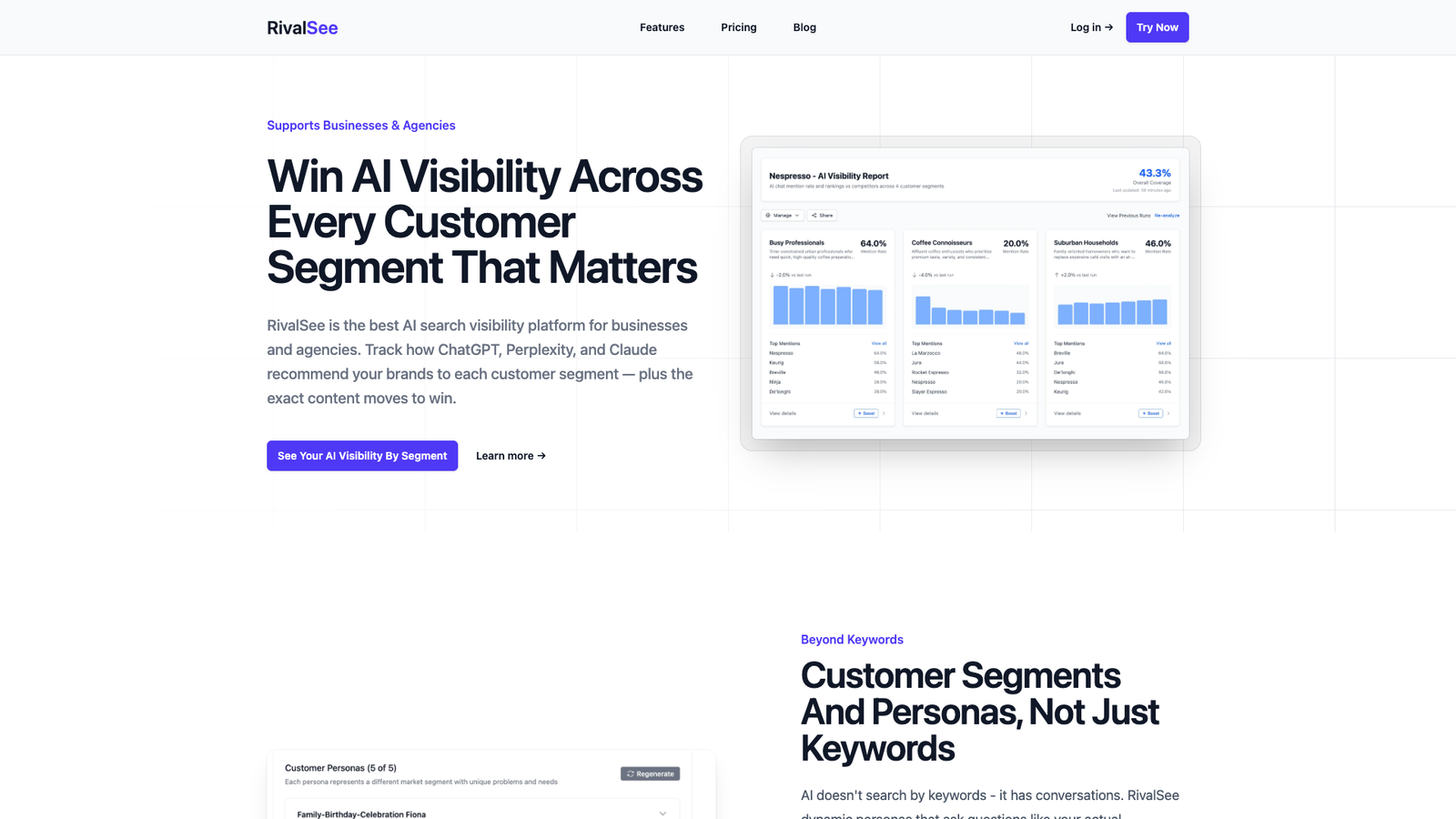 RivalSee — интерфейс нейросети RivalSee — интерфейс нейросети