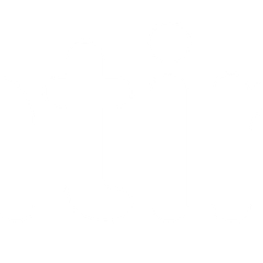 Dittin AI logo
