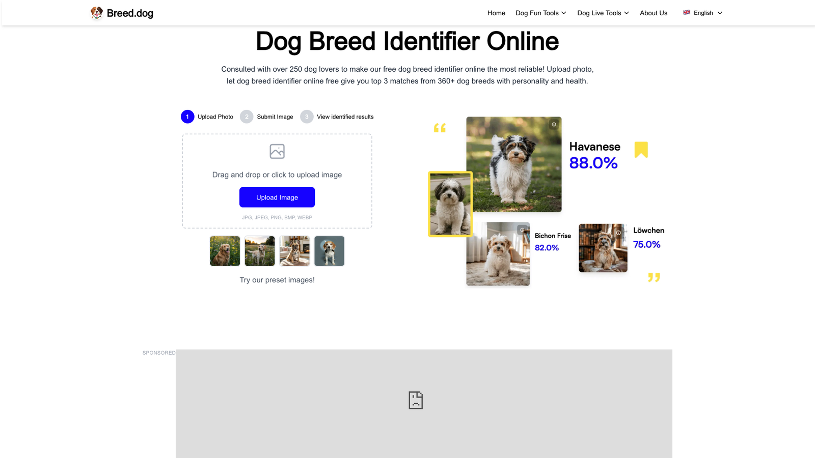 Breed.Dog — интерфейс нейросети Breed.Dog — интерфейс нейросети