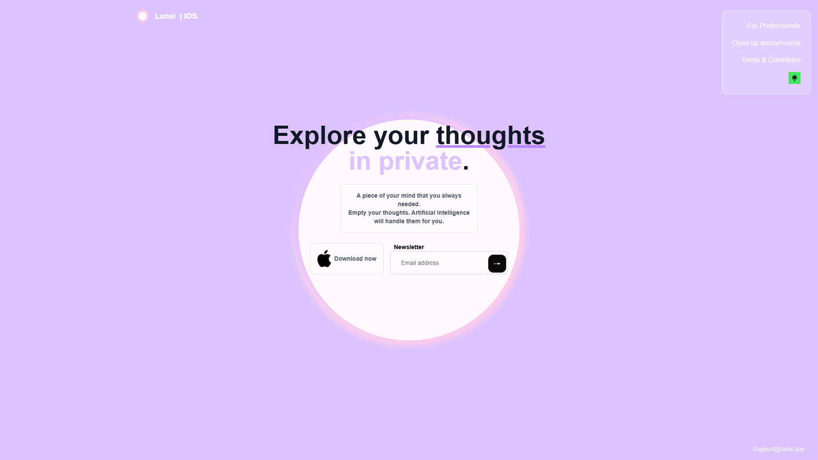 Lunai — интерфейс нейросети Lunai — интерфейс нейросети