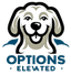 Options Elevated — логотип нейросети