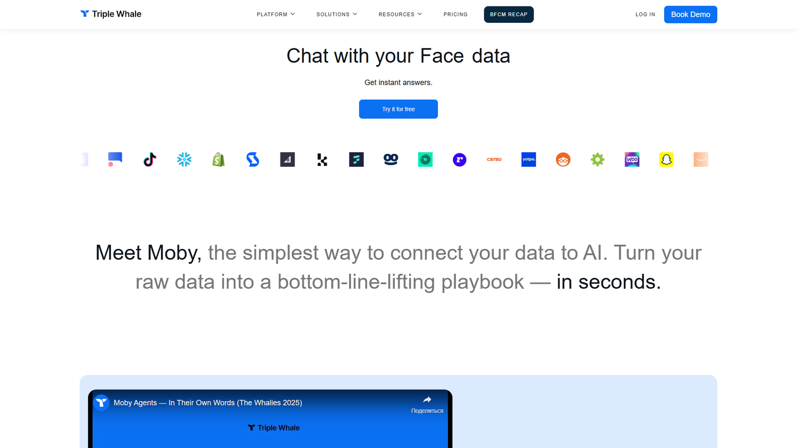 Triple Whale Moby — интерфейс нейросети Triple Whale Moby — интерфейс нейросети