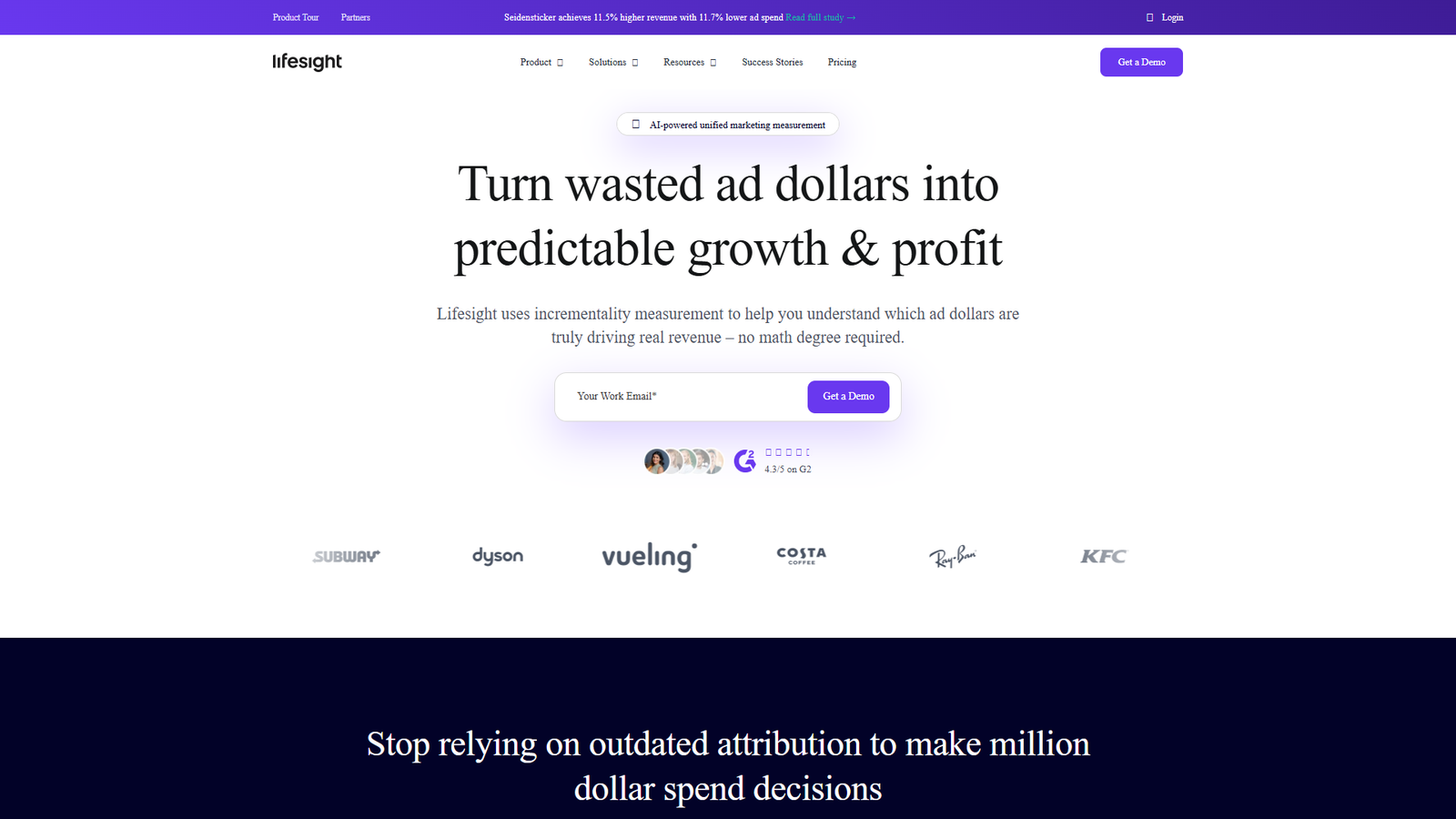 Lifesight — интерфейс нейросети Lifesight — интерфейс нейросети